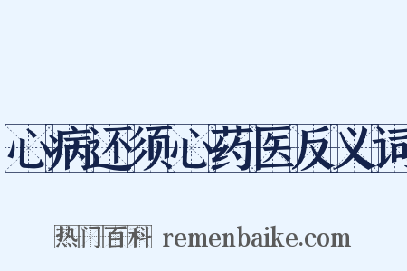 心病还须心药医反义词是什么意思的图片
